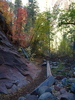 photo thumbnail #4