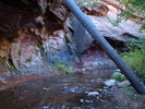 photo thumbnail #5