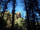 photo thumbnail #7