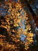 photo thumbnail #12