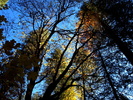 photo thumbnail #13