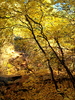 photo thumbnail #14