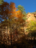 photo thumbnail #15