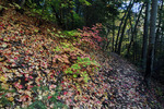 photo thumbnail #11