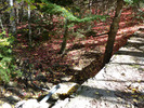 photo thumbnail #9