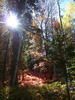 photo thumbnail #10