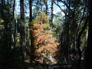 photo thumbnail #11