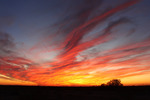 photo thumbnail #1