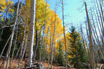 photo thumbnail #10