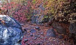 photo thumbnail #2
