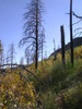 photo thumbnail #6