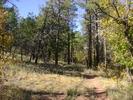 photo thumbnail #8