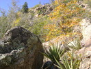 photo thumbnail #3