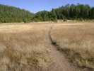 photo thumbnail #10