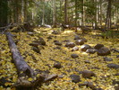 photo thumbnail #4
