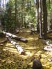 photo thumbnail #6