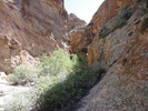 photo thumbnail #12