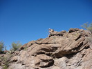 photo thumbnail #15