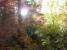photo thumbnail #2