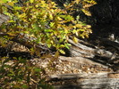 photo thumbnail #3