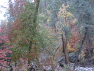 photo thumbnail #5