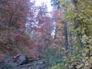 photo thumbnail #11