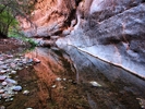 photo thumbnail #12