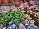 photo thumbnail #13