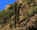 photo thumbnail #4