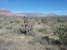 photo thumbnail #1