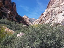 photo thumbnail #5