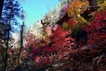 photo thumbnail #7