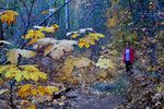 photo thumbnail #15
