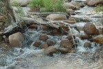 photo thumbnail #1