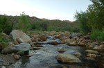 photo thumbnail #2