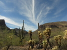 photo thumbnail #5