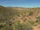 photo thumbnail #8
