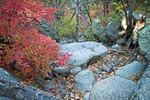 photo thumbnail #8