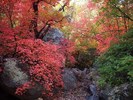 photo thumbnail #13