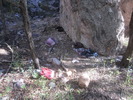 photo thumbnail #7