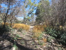 photo thumbnail #10