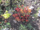 photo thumbnail #13