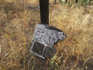 photo thumbnail #4