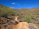 photo thumbnail #4