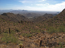 photo thumbnail #5
