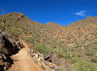 photo thumbnail #6