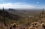 photo thumbnail #7