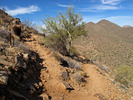 photo thumbnail #13