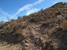 photo thumbnail #14