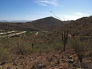 photo thumbnail #15